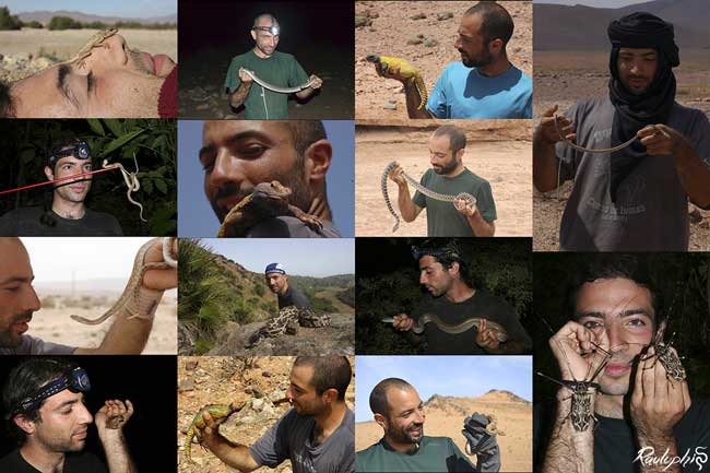 Algunas escenas de bicheo en Marruecos, Sáhara y Sudamérica.