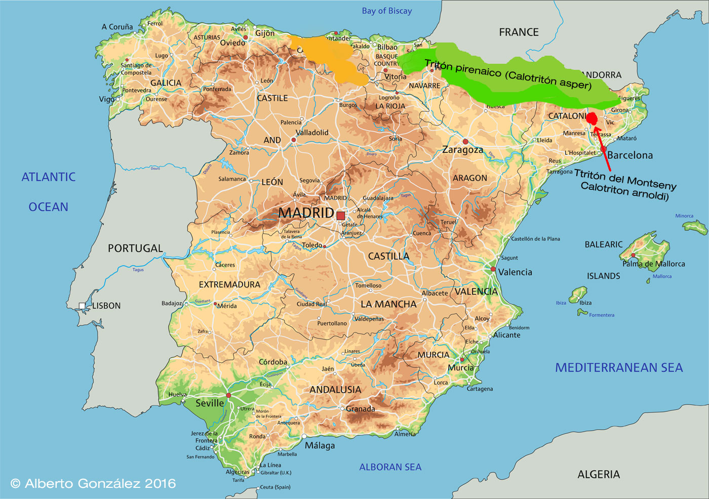 mapa-distribucion-triton-pirenaico-calotriton-asper-y-calotriton-arnoldi