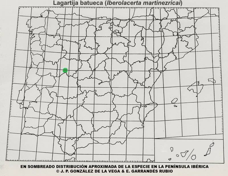 Mapa distribucion Lagartija batueca (Iberolacerta martinezricai)