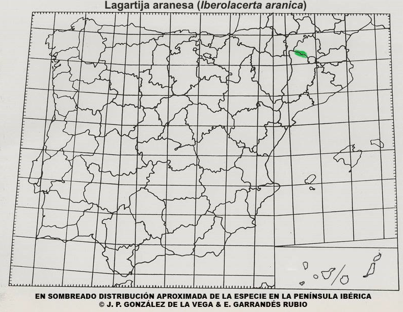 Mapa distribución de Iberolacerta aranica