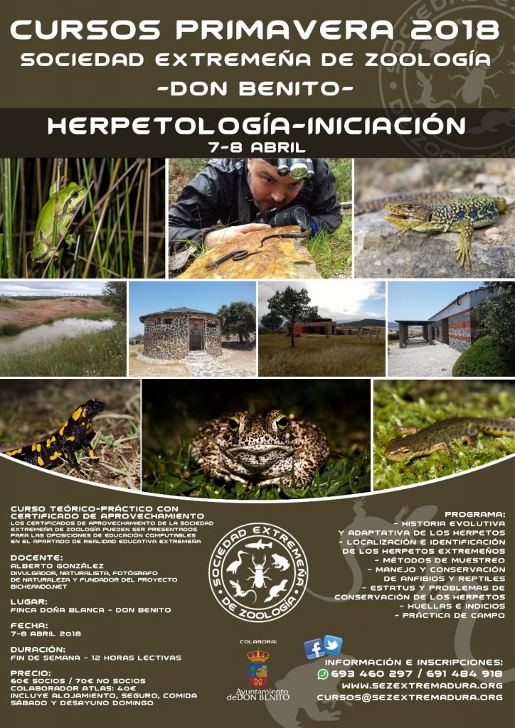 http://bicheando.net/wp-content/uploads/2018/03/curso-herpetologia-bicheando-724x1024.jpeg
