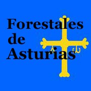 Forestales de Asturias