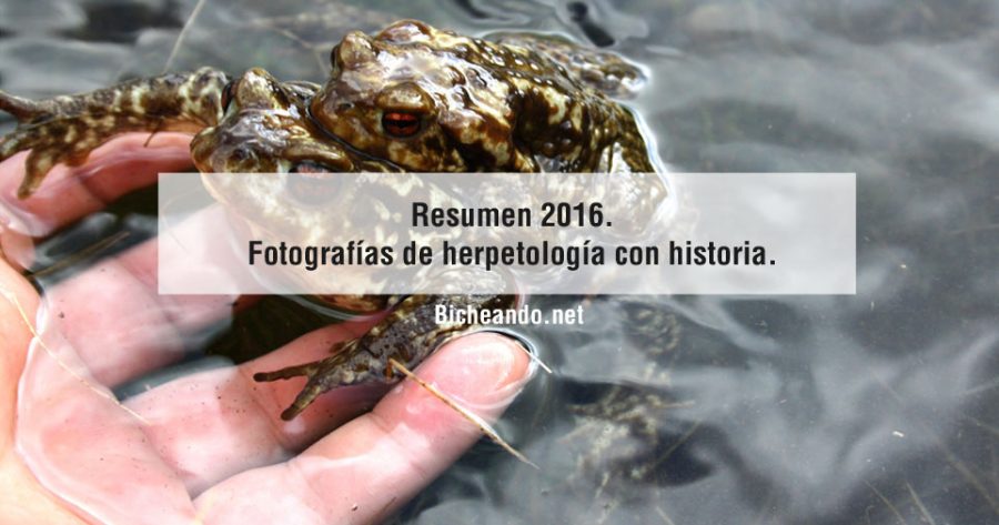 Resumen-2016.-Fotografías-de-herpetología-con-historia