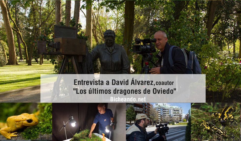 los-ultimos-dragones-de-ovideo-entrevista-a-david-alvarez-portada