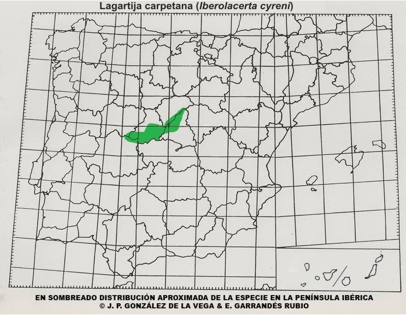 mapa distribución Iberolacerta cyreni