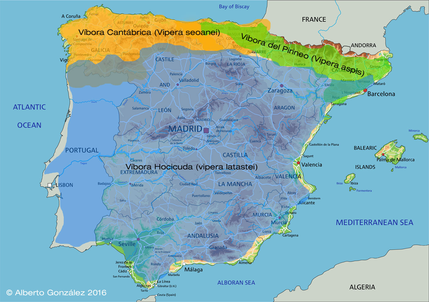 mapa distribución víboras en la Península Ibérica.