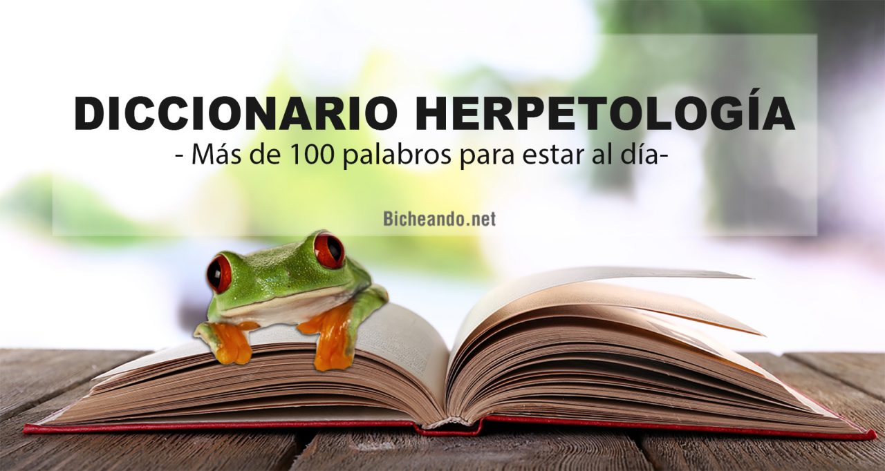 diccionario herpetologia