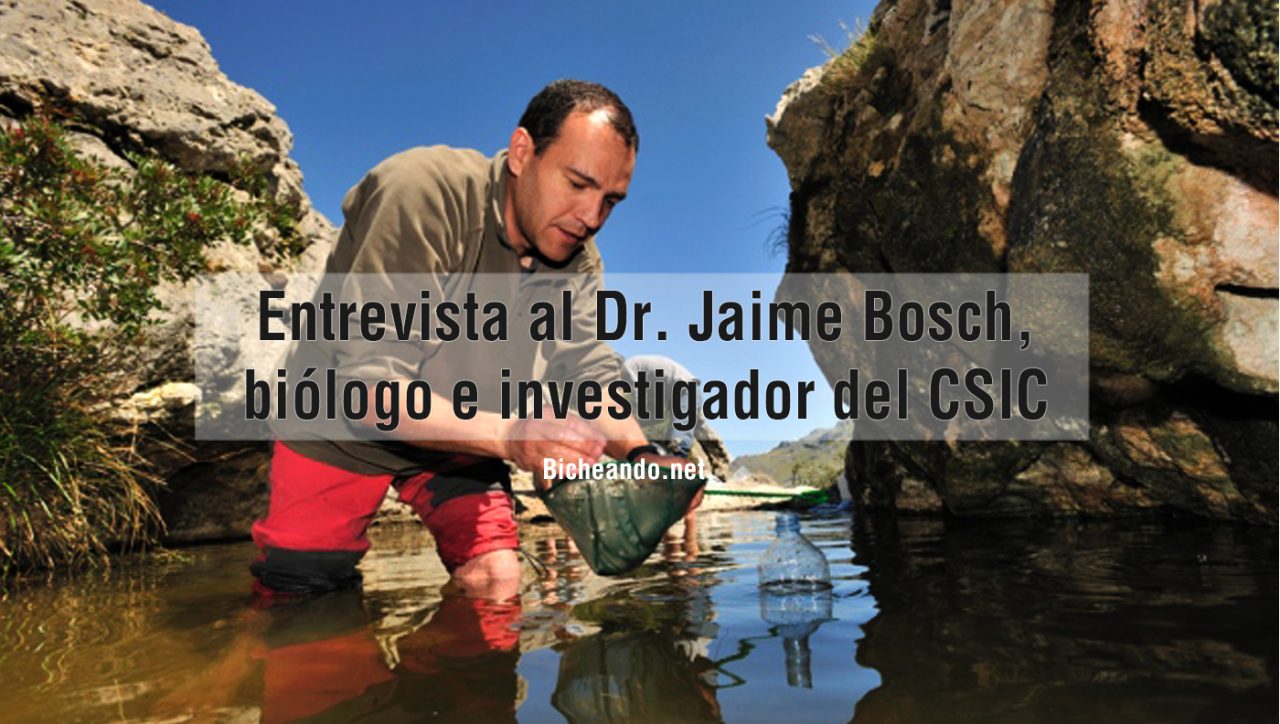 Entrevista al Dr. Jaime Bosch, biólogo e investigador del CSIC