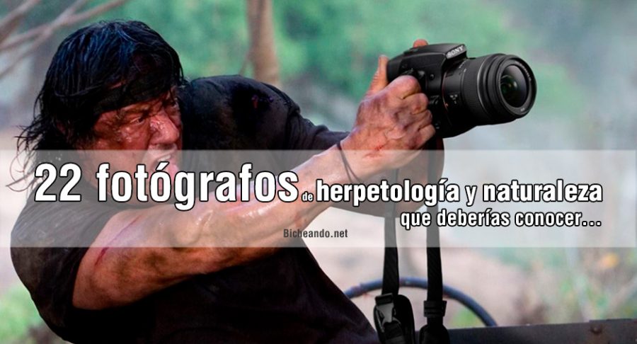 fotografos-herpetologia-naturaleza