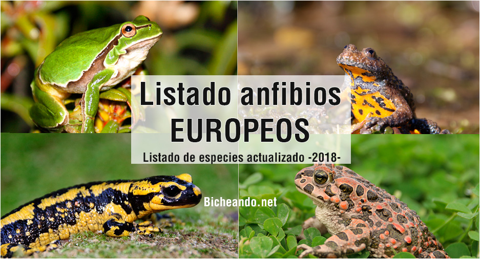 Listado especies anfibios europa