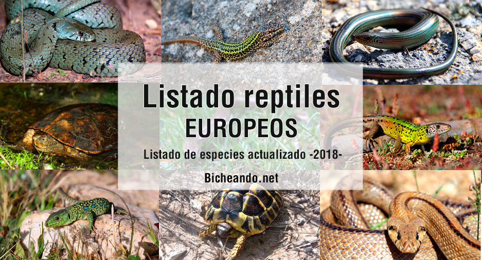 listado especies reptiles europa 2018