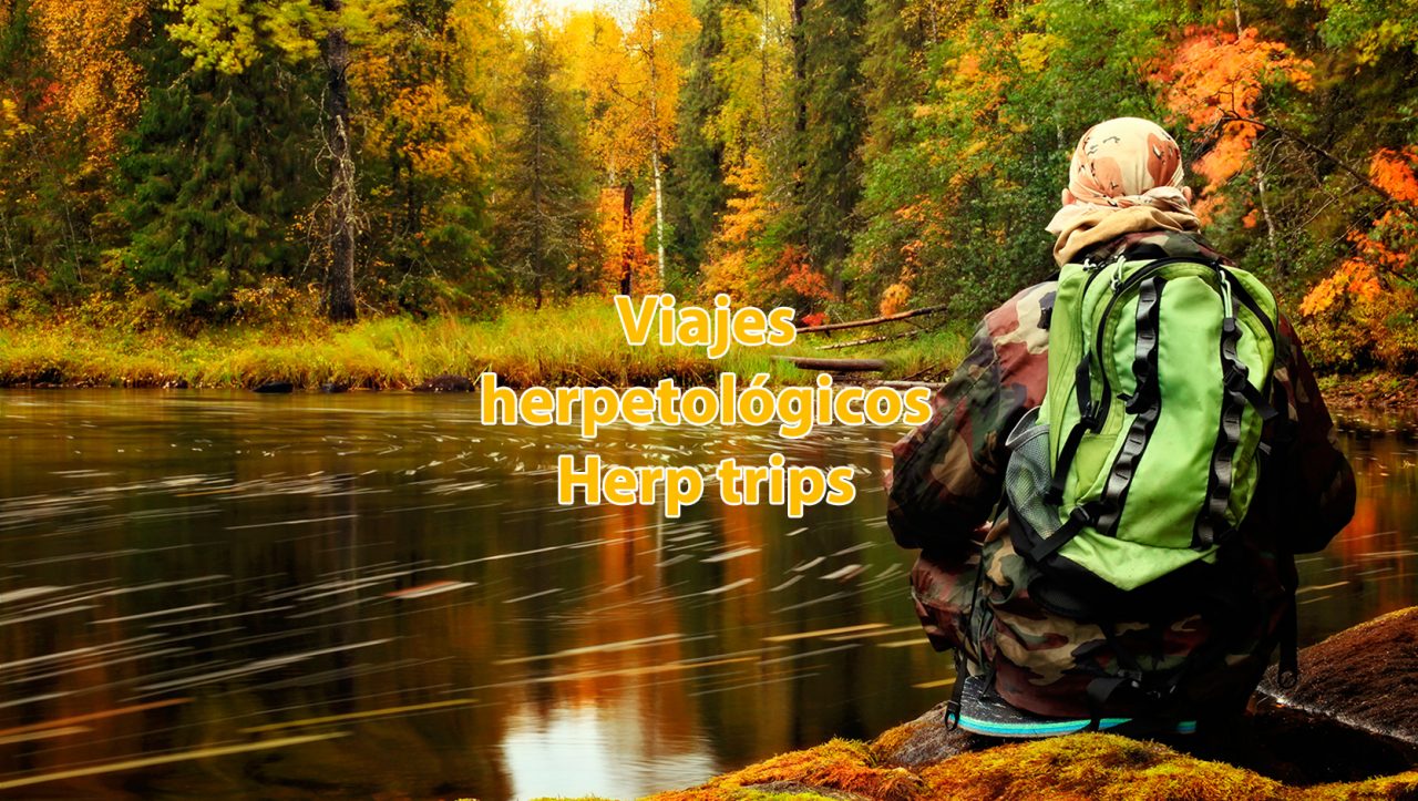 herp trips viaje herpetología