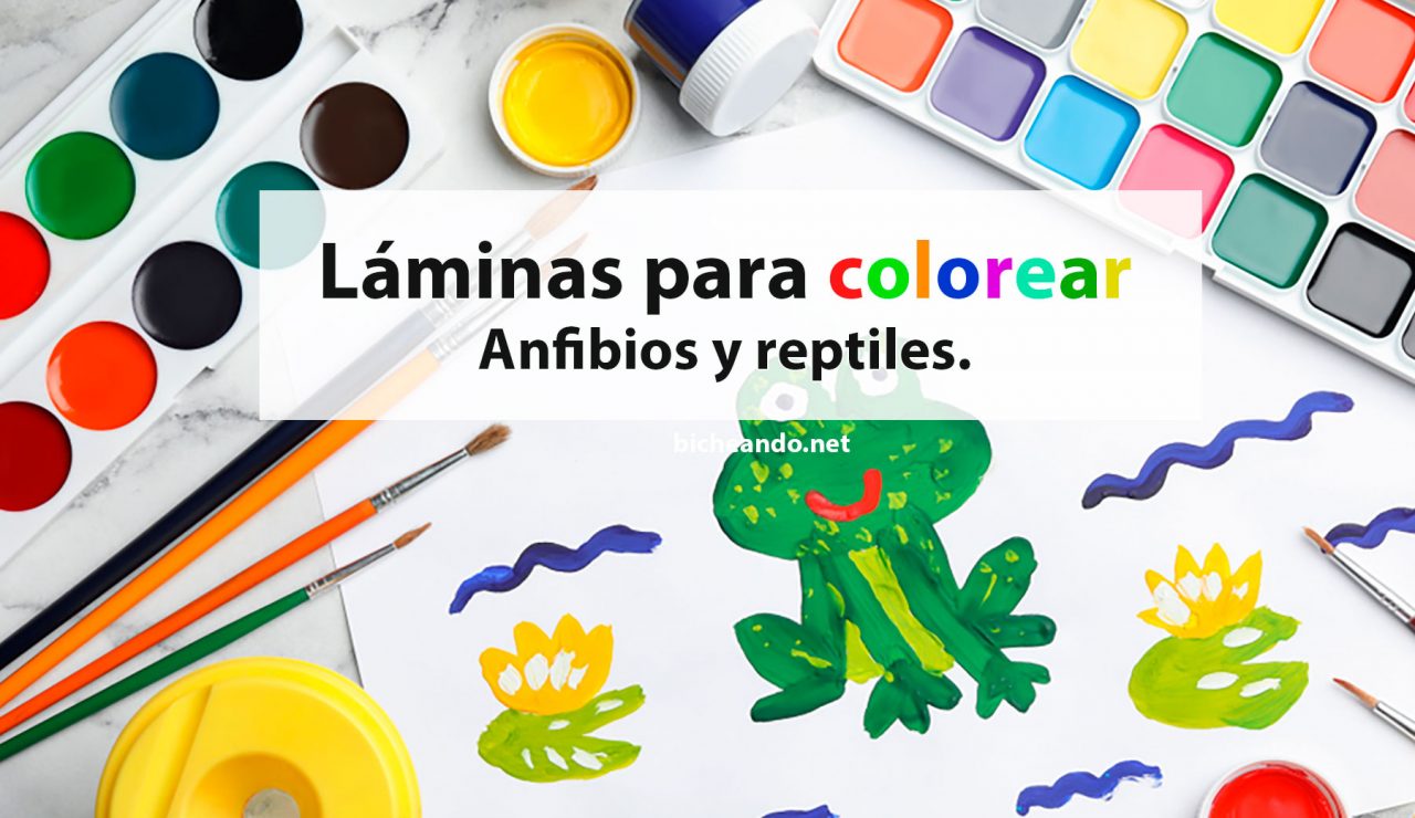Láminas de anfibios y reptiles para colorear