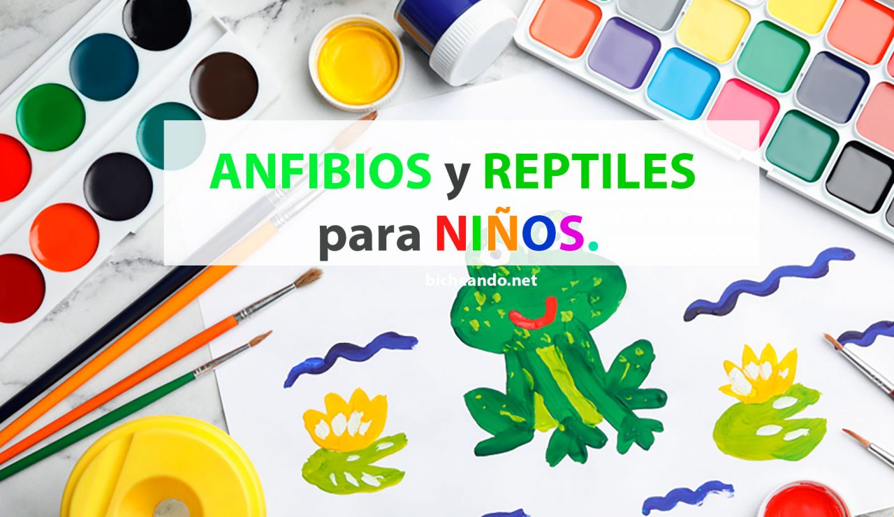 anfibios y reptiles para niños