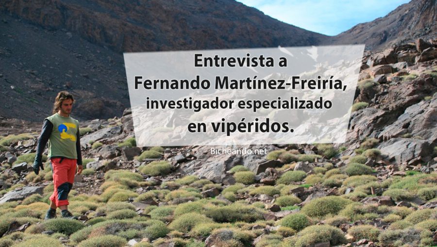 entrevista a Fernando Martínez-Freiría