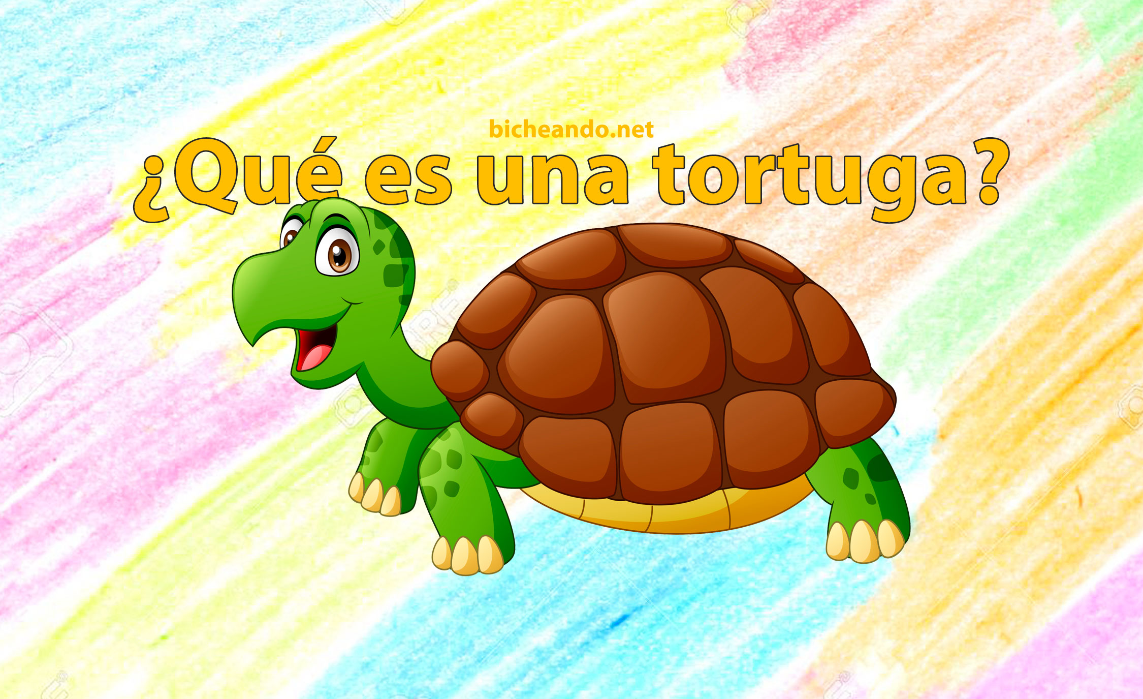 personal Integral desinfectar 🙂 ¿Qué es una tortuga? 【Anfibios y Reptiles para niños】