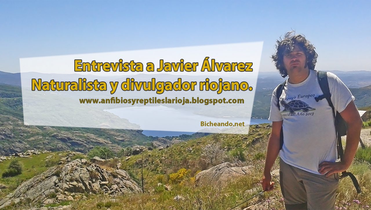 Entrevista a Javier Álvarez