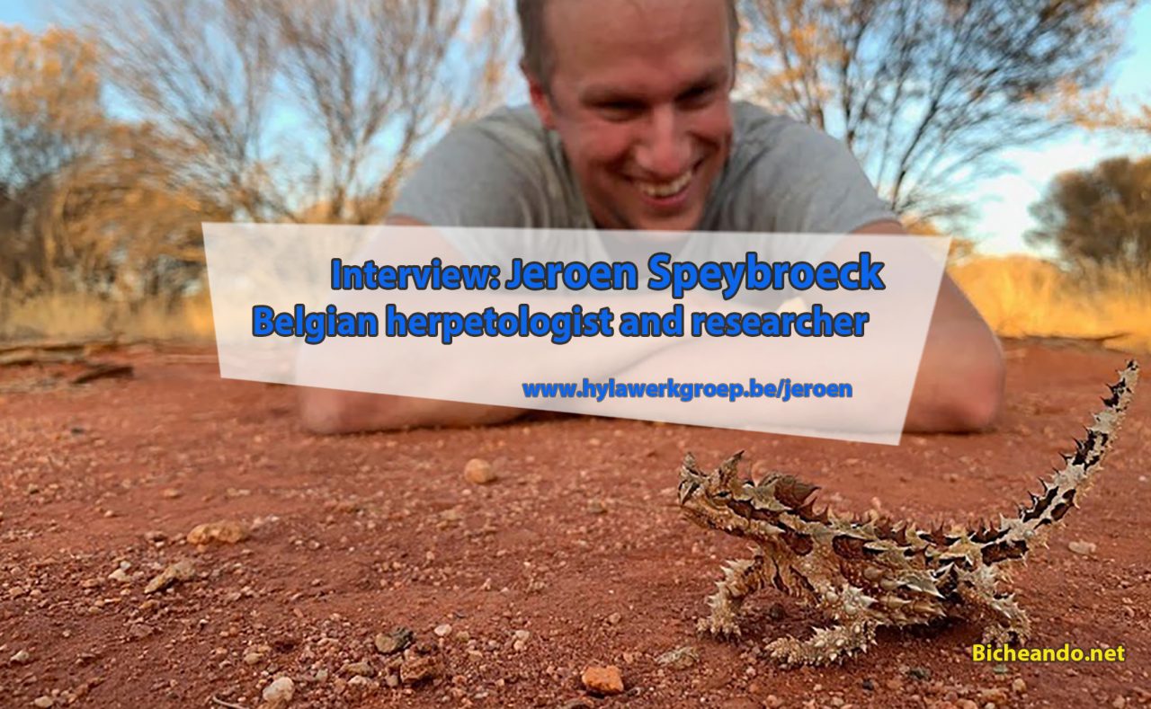 Interview Jeroen Speybroeck