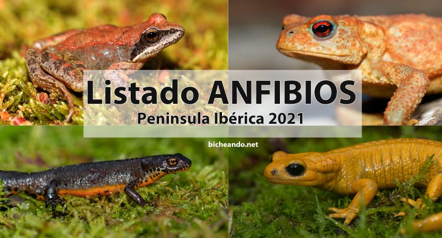 especies anfibios península iberica portada