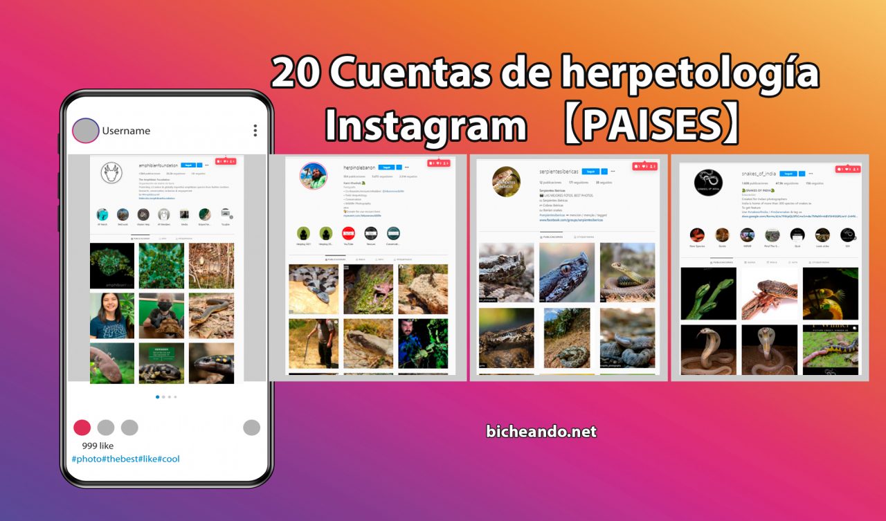 cuentas Instagram herpetologia