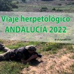 viaje herpetológico Andalucía 2022