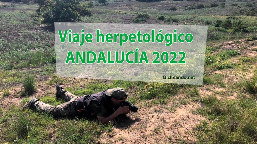 viaje herpetológico Andalucía 2022