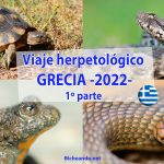 Viaje herpetológico Grecia 2022
